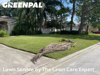 Grass Cutting nearby Lakeland, FL, 