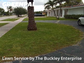Grass Cut nearby Hialeah, FL, 