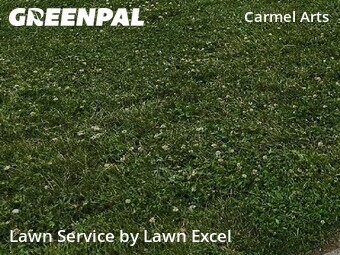 Lawn Care Service nearby Carmel, IN, 
