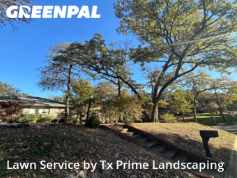 Yard Cutting nearby Euless, TX, 