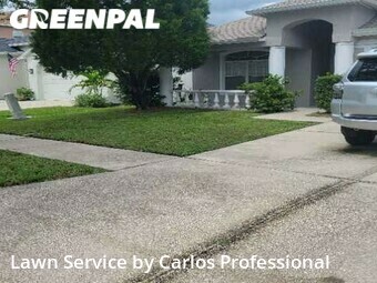 Yard Mowing nearby Tampa, FL, 