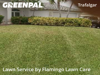 Lawn Maintenance in Cape Coral, 33991, Lawn Cutting by Flamingo Lawn Care, work completed in Dec , 2025