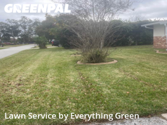 Grass Cutting nearby Daytona Beach, FL, 