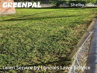 Lawn Mow nearby Nashville, TN, 