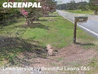 Lawn Care Service nearby Covington, GA, 