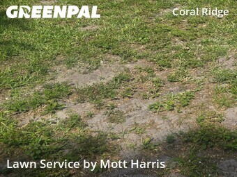 Yard Cutting nearby Fort Lauderdale, FL, 