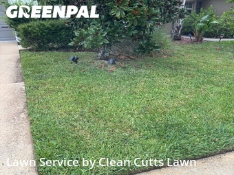 Lawn Cutting nearby Riverview, FL, 