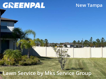 Landscaping Services In Tampa,33647,Landscaping Installation by Mks Service Group, work completed in Nov , 2025