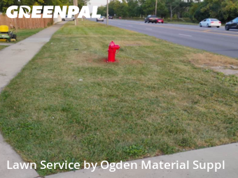 Yard Cutting nearby Westchester, IL, 