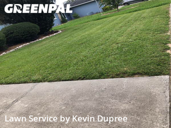 Grass Cut nearby Valrico, FL, 