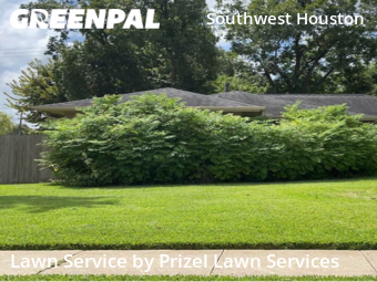 Grass Cuttingin Bellaire,77401,Lawn Cutting by Prizel Lawn Services, work completed in Dec , 2025