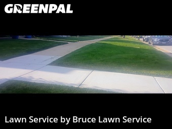 Lawn Care nearby Norridge, IL, 