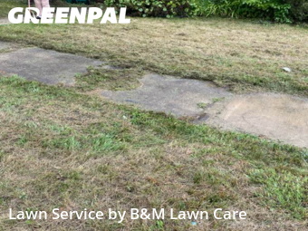 Lawn Cut nearby Gary, IL, 