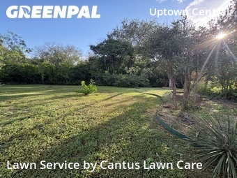 Landscape Design In San Antonio,78209,Landscaping Cleanup by Cantus Lawn Care , work completed in Jul , 2026