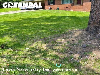 Yard Cutting nearby Macon, GA, 