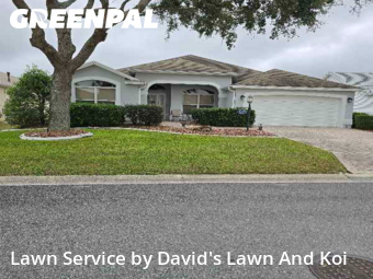Lawn Work in The Villages, 32162, Lawn Maintenance by David's Lawn And Koi, work completed in Dec , 2025