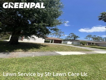 Yard Management in Northdale, 33624, Lawn Work by Sfr Lawn Care Llc, work completed in Nov , 2025