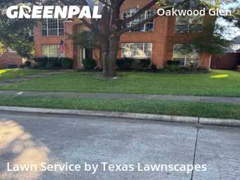 Grass Cuttingin Plano,75025,Grass Cutting by Texas Lawnscapes, work completed in Oct , 2025