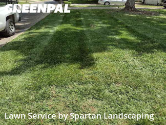 Yard Cutting nearby Charlotte, NC, 