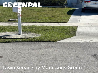 Lawn mowed in Greenacres, 33463