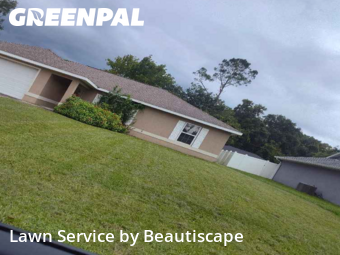 Grass Cut nearby Summerfield, FL, 