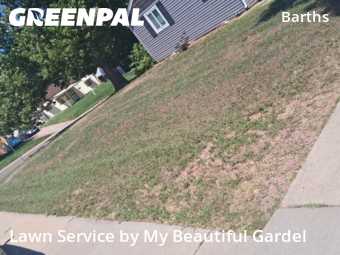 Lawn Service nearby Wheat Ridge, CO, 