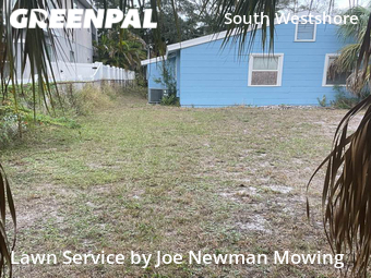 Grass Cut nearby Tampa, FL, 