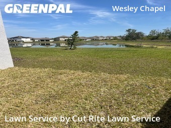 Grass Cutting nearby Wesley Chapel, FL, 
