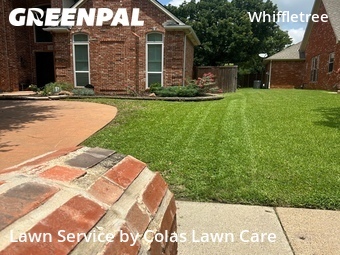 Lawn Mowing nearby Plano, TX, 