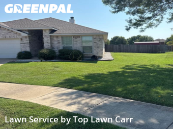 Landscaping Maintenance in Glenn Heights, 75154, Backyard Mowing by Top Lawn Carr, work completed in Nov , 2025