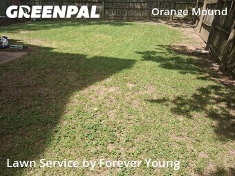 Lawn Care nearby Memphis, TN, 