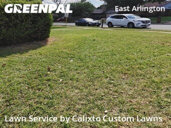 Lawn Cut nearby Arlington, TX, 