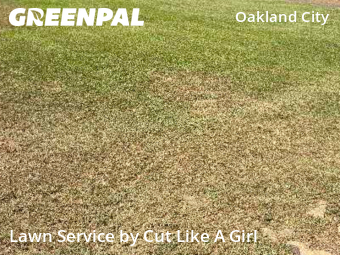 Lawn Care Service nearby Atlanta, GA, 