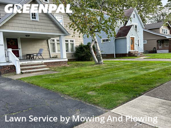 Yard Cutting nearby Cleveland Heights, OH, 