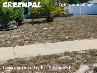 Lawn mowed in Bayonet Point, 34668
