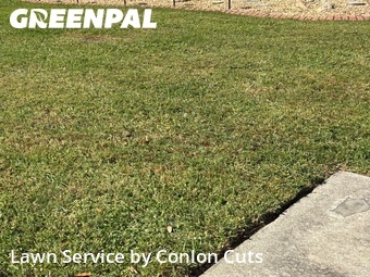 Grass Cut nearby Ellenton, FL, 