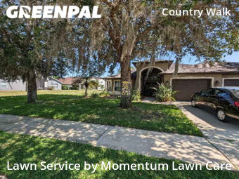 Lawn Maintenance nearby Wesley Chapel, FL, 