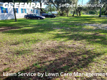 Grass Cutting nearby Seffner, FL, 