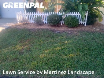 Lawn Mowing in The Villages, 32162, Grass Cutting by Martinez Landscape, work completed in Dec , 2025