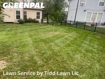 Grass Cutting nearby Kansas City, KS, 