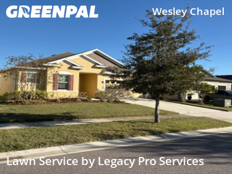 Lawn Mowing Service nearby Wesley Chapel, FL, 