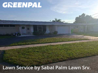 Lawn Mowingin Sunrise,33322,Grass Cutting by Sabal Palm Lawn Srv., work completed in Dec , 2025
