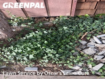 Lawn Cutting nearby Yakima, WA, 