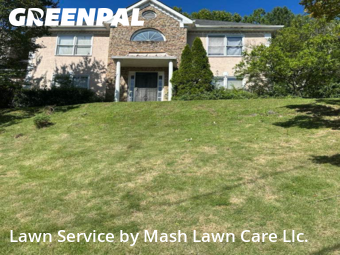 Yard Cutting nearby Ellenwood, GA, 