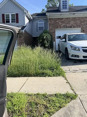Lawn Love Lawn Care of Washington DC Photo 8