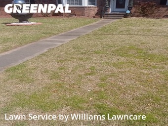 Grass Cut nearby Chesapeake, VA, 