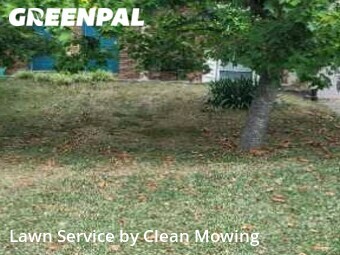 Yard Cutting nearby Lexington, KY, 