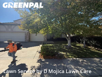 Work completed by local-lawn-and-landscape-maintenance-services-near-me-in-Elk Grove-CA