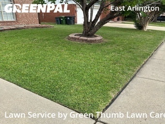 Lawn Cut nearby Arlington, TX, 