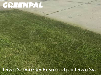 Lawn Cut nearby Greensboro, NC, 